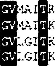 χαρακτηρισμένω ν N A T /N C S 2 μεταφ ορέω ν [Ε. c o li Y g fo (A A C 7 5 9 2 0 ), Y ice (A A C 76678) and UraA (A A C 7 5550), B.