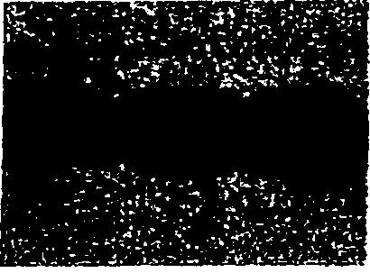 151 a f ' V T rr, r-j X Q 5 Q tifl >- Q <CQ e 60 >- O' (N 512 kda 36.2 kda Εικόνα 3.35: Έ κφραση των μεταλλαγμάτων της YgfO στη θέση 325 Κύτταρα Ε.