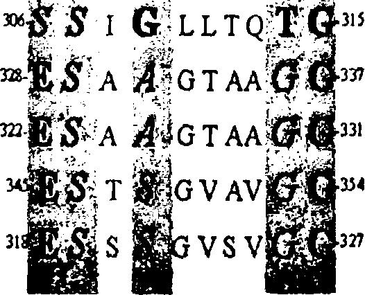 coli [YgfO (AAC75920,466 κωδικόνια), YicE (AAC76678,463 κωδικόνια), YgfU (Q46821,482 κωδικόνια), YgfQ (ΑΑΤ48153, 455 κωδικόνια), YcdG (AAC74091, 464 κωδικόνια), YbbY (AAC73615, 435