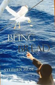 00 This book provides straightforward insight into a wide range of beliefs, customs, and traditions of the Church.