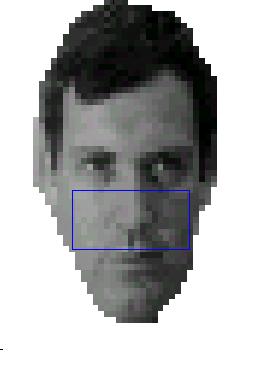 Mutual information H ( x) = P( x) Log( P( x)) H(C) F=1 F=0 H(C) when