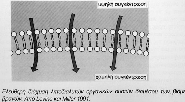 παθητική