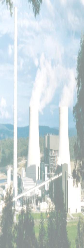 με δυνατότητα παραγωγής ηλεκτρισμού 70MW - 80MW από διάφορους γαιάνθρακες, συμπεριλαμβανομένων γαιανθράκων χαμηλής τάξης υψηλής περιεκτικότητας σε θείο και τέφρα Δύο μονάδες δυναμικότητας