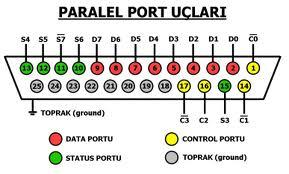 Porturile paralele sunt destinate conectării imprimantelor sau a altor dispozitive periferice ce funcţionează pe acest tip de port (scannere, plăci de achiziţie etc.).