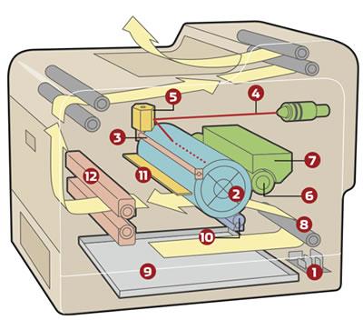 Imprimantele laser, o altă generaţie de echipamente periferice destinate imprimării textelor şi graficelor, inclusiv a imaginilor complexe cu înaltă rezoluţie, asigură o înaltă calitate a tipăririi,