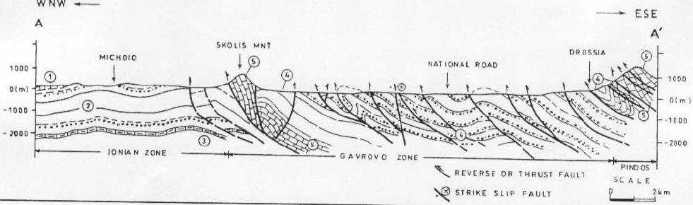 1.2.4. Εκτεταμένη γεωτεκτονική αναφορά στην περιοχή Η ζώνη Γαβρόβου δομείται από Κρητιδικές Ηωκαινικές ασβεστιτικές αποθέσεις πελαγικής προέλευσης που αναγνωρίστηκαν στην οροσειρά του Σκόλις.