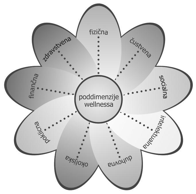 Slika 1: Poddimenzije velnesa