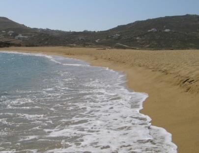 Οργανωτική Επιτροπή Ημερίδας - Λάμψας Πέτρος, Πρύτανης Τεχνολογικού