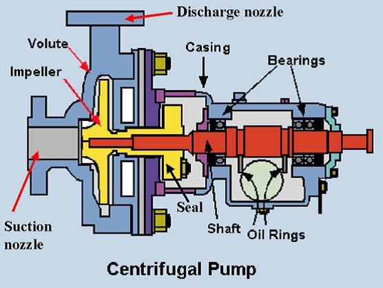 Εικόνα 1.1: Τα κύρια μέρη φυγοκεντρικής αντλίας Το ελεύθερο άκρο του άξονα συνδέεται με το βασικό μηχανισμό μετάδοσης κίνησης (ηλεκτροκινητήρας-motor).