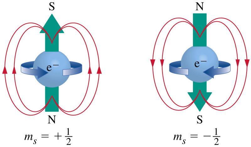 Paulijev princip isključenja Zbog posedovanja spinskog kvantnog broja jedna orbitala ne može imati više od dva elektrona Orbitala
