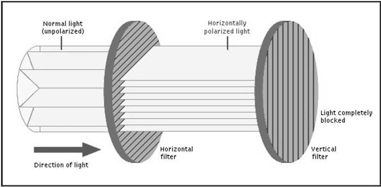 Elektromagnetlainete polarisatsioon Lisaks võib elektromagnetlainetel täheldada polarisatsiooni nähtust: tavalises elektromagnetlainetes puudub üks kindel elektri(magnet)välja võnkesiht võnkumine