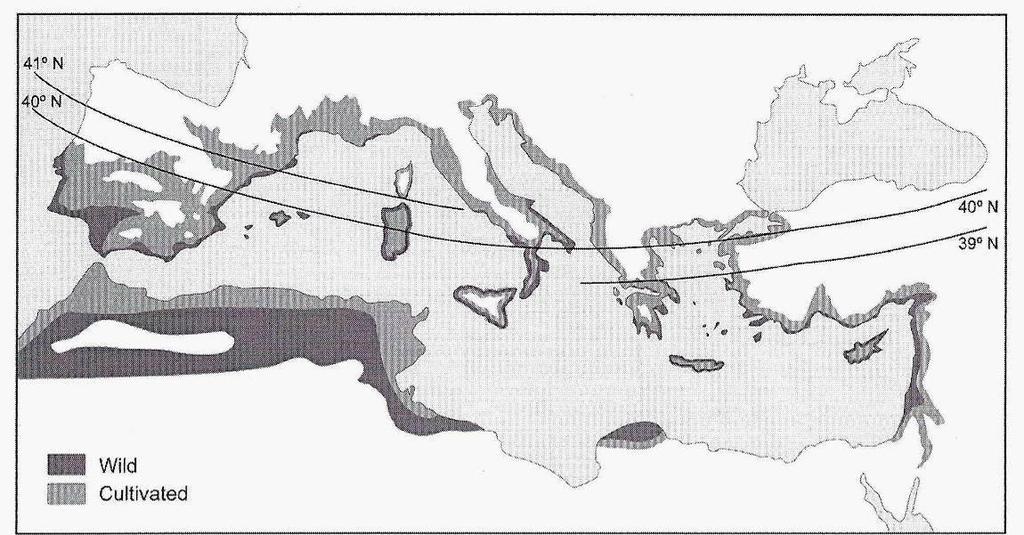 Στην Εικόνα 5 παρουσιάζεται η σημερινή μορφή εξάπλωσης της άγριας και καλλιεργούμενης ελιάς στη λεκάνη της Μεσογείου (Carrión et al. 2010). Εικόνα 5. Η σημερινή εικόνα της εξάπλωσης της άγριας και της καλλιεργούμενης ελιάς (Olea europaea L.