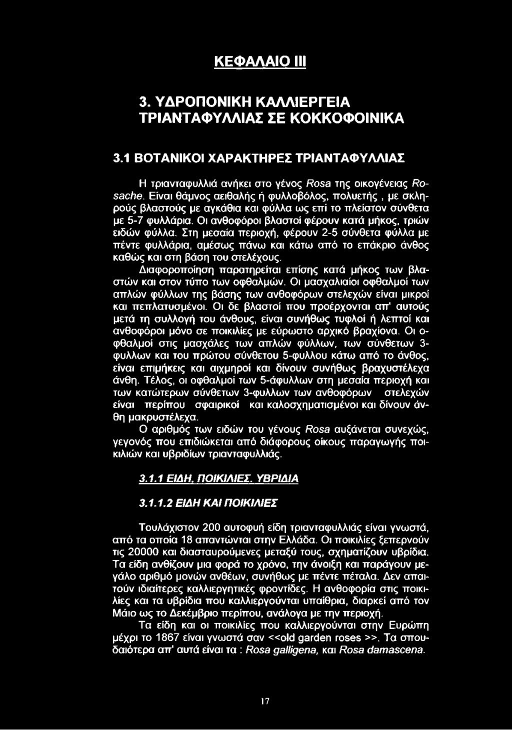 Στη μεσαία περιοχή, φέρουν 2-5 σύνθετα φύλλα με πέντε φυλλάρια, αμέσως πάνω και κάτω από το επάκριο άνθος καθώς και στη βάση του στελέχους.