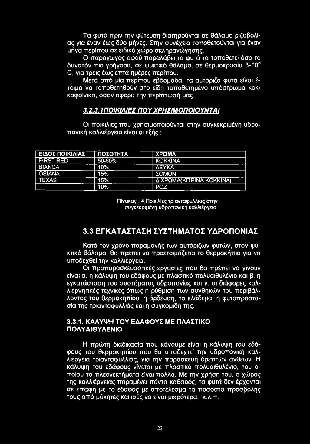 Μετά από μία περίπου εβδομάδα, τα αυτόριζα φυτά είναι έ τοιμα να τοποθετηθούν στο είδη τοποθετημένο υπόστρωμα κοκκοφοίνικα, όσον αφορά την περίπτωσή μας. 3.