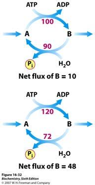 Glikoliza i glukoneogeneza su recipročno regulirane Ukoliko bi se glikoliza (pretvorba glukoze u piruvat) i glukoneogeneza (sinteza piruvata u glukozu) odvijale simultano, rezultat bi bio utrošak ATP
