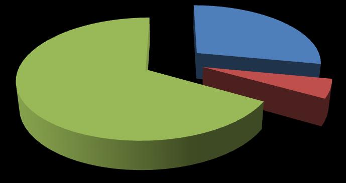 2007 الشكل البياني رقم) 9.4( : الخصوم لسنة 22% 62% 16% األموال الخاصة ديون طويلة ومتوسطة األجل ديون قصيرة األجل الشكل البياني رقم )10.