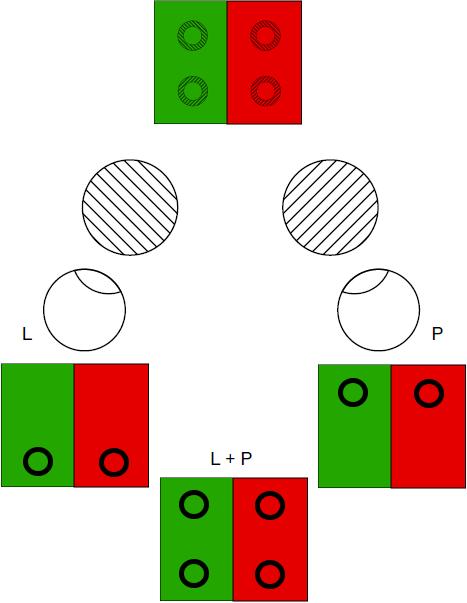 O refrakčnej aj zrakovej vyváţenosti hovoríme, ak sa obidvom očiam javia všetky štyri Landoltove kruhy rovnako kontrastne.