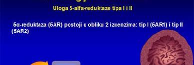 DROGE U TERAPIJI OBOLJENJA UROGENITALNOG TRAKTA
