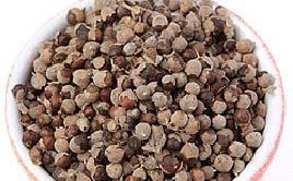 antihipertenziva Agni-casti fructus Vitex