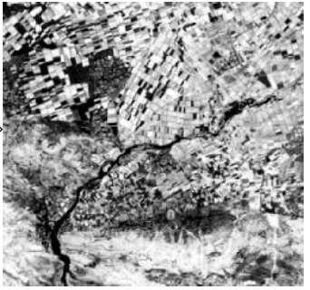 Στη δεξιά εικόνα έχει εφαρμοστεί ο αλγόριθμος MSAVI2, που προσδιορίζει τις περιοχές με υψηλή βιομάζα άρα τα αντίστοιχα pixels θα εμφανίζονται με υψηλούς τόνους του γκρι.