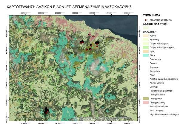 89 Ε κ τ ί μ η σ η δ α σ ο κ ά λ υ ψ η ς μ ε χ ρ ή σ η χ ρ ο ν ο σ ε ι ρ ώ ν Στους παραπάνω χάρτες απεικονίζονται τα επικρατέστερα δασικά είδη της 1 ης περιοχής μελέτης και με κόκκινα σημεία