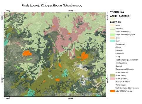 90 Ε κ τ ί μ η σ η δ α σ ο κ ά λ υ ψ η ς μ ε χ ρ ή σ η χ ρ ο ν ο σ ε ι ρ ώ ν Εικόνα 33: Απεικόνιση των διορθωμένων Pixels για το δασικό είδος της Ελάτης, Θέση Βαλτοσινικού,