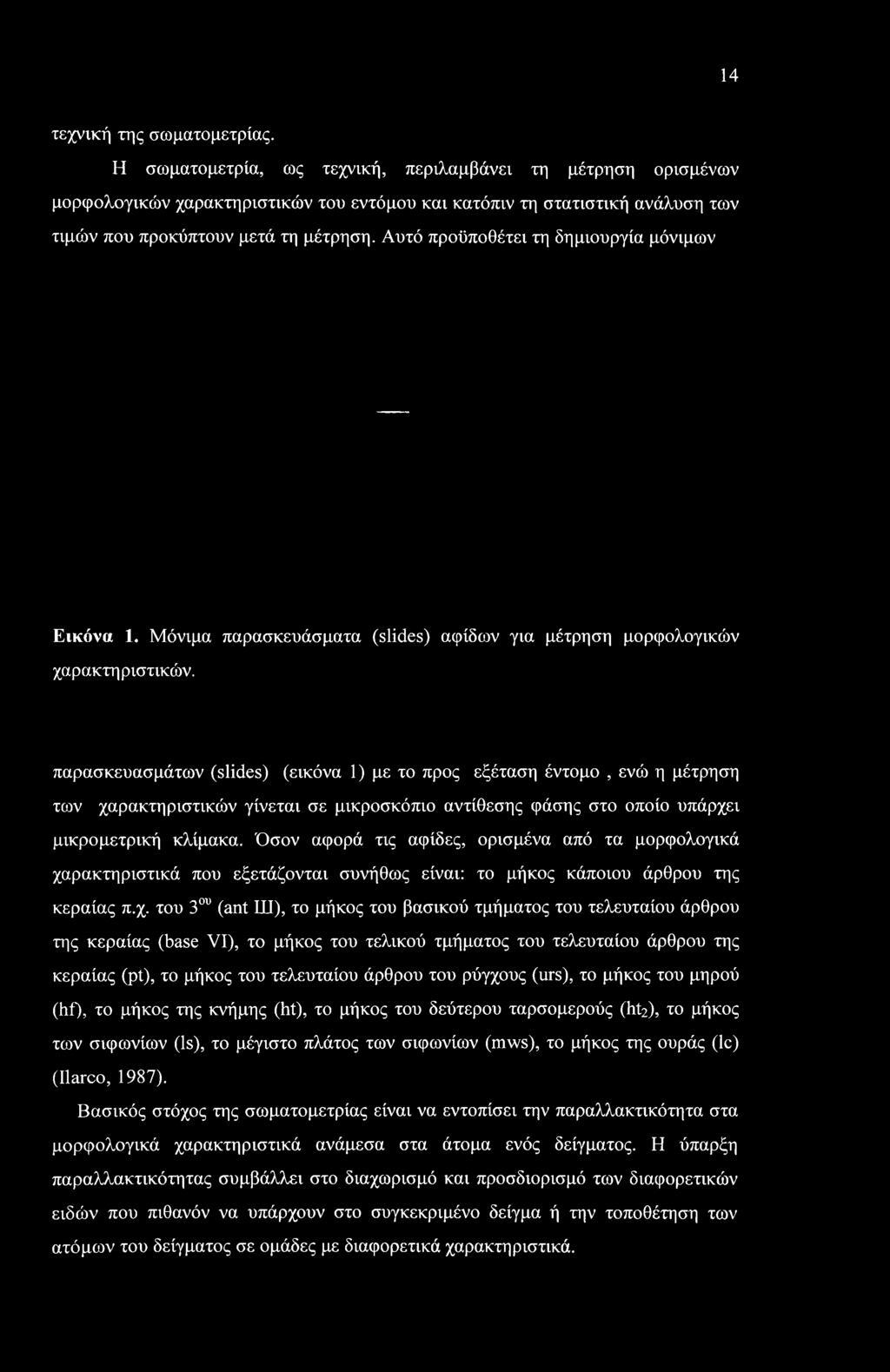 Όσον αφορά τις αφίδες, ορισμένα από τα μορφολογικά χα