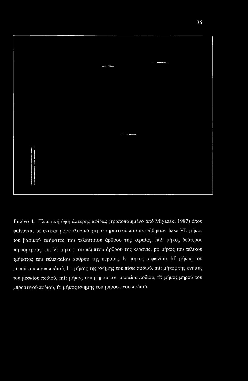 36 Εικόνα 4.