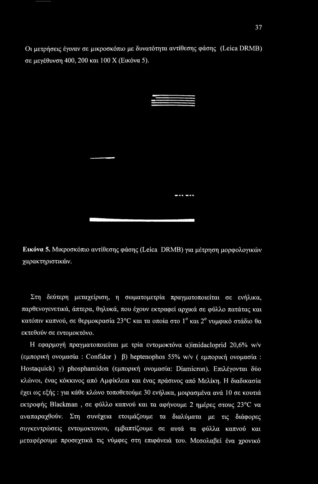 Στη δεύτερη μεταχείριση, η σωματομετρία πραγματοποιείται σε ενήλικα, παρθενογενετικά, άπτερα, θηλυκά, που έχουν εκτραφεί αρχικά σε φύλλο πατάτας και κατόπιν καπνού, σε θερμοκρασία 23 C και τα οποία