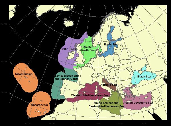 European marine