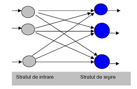 Arhitectura RNA Arhitectura RNA rețele