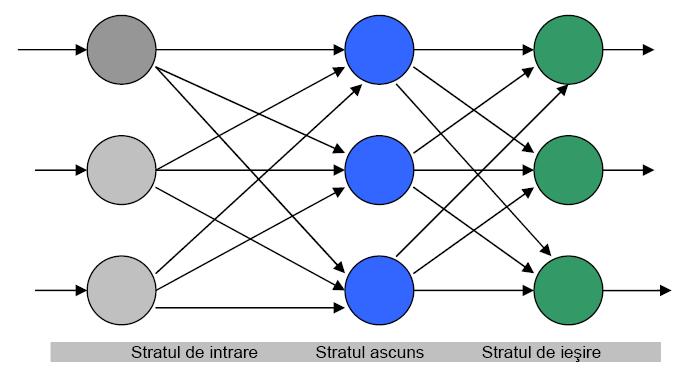 Arhitectura RNA Arhitectura RNA rețele feed-forward (unidirecționale)