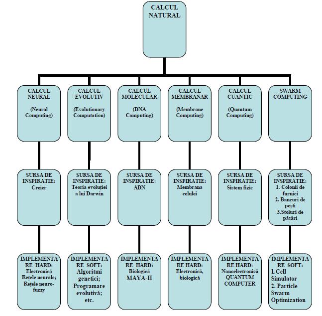 Principiile RNA Calcul neural (neuronal) RN = suport hard pentru calcul neural - rezolvarea problemelor de