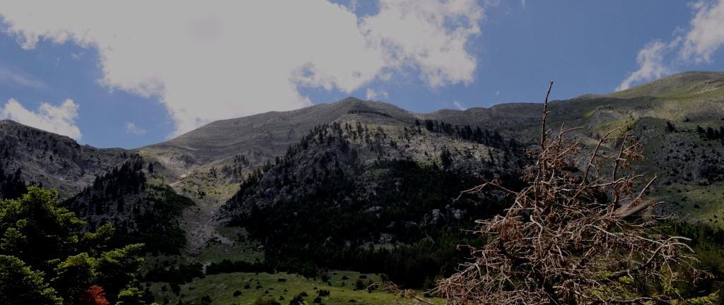 Κι όμωσ, οι ορεινζσ περιοχζσ διακζτουν ζναν ενεργειακό κθςαυρό Θ ορεινι γεωγραφία και το ορεινό κλίμα οδθγοφν