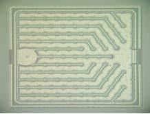 Its global footprint includes sales offices in 5 countries and manufacturing locations in China, Europe and the US.