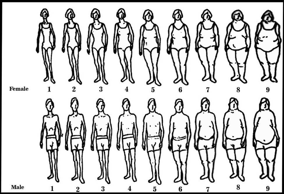 Μέθοδος/Μετρήσεις 60 άτομα (~30 με ΣΔτ2) Μετρήθηκε το ύψος και το βάρος για τον προσδιορισμό του ΔΜΣ Έγινε επιλογή της εκόνας σώματος από την κλίμακα Stunkard