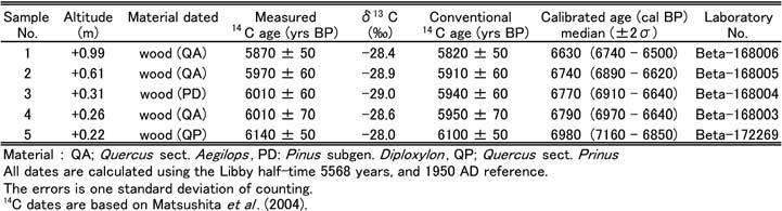 ,*++, 63 Table + + C C dates of fossil woods collected from the peat deposits at the Desaki Coast RIMS20 *4+0 *4,+ m,** *4,+ *4-1, m *4-1 *41 m, cm,** *41 *41+ m DS+ *41+ +4** m + *420 mr+ +4** +4*2