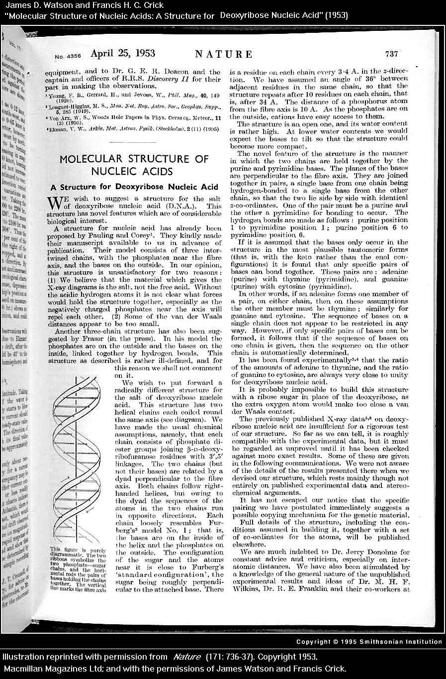 Nobel Prize in Physiology or Medicine (1962) -Crick, Watson & Wilkins "for their discoveries concerning