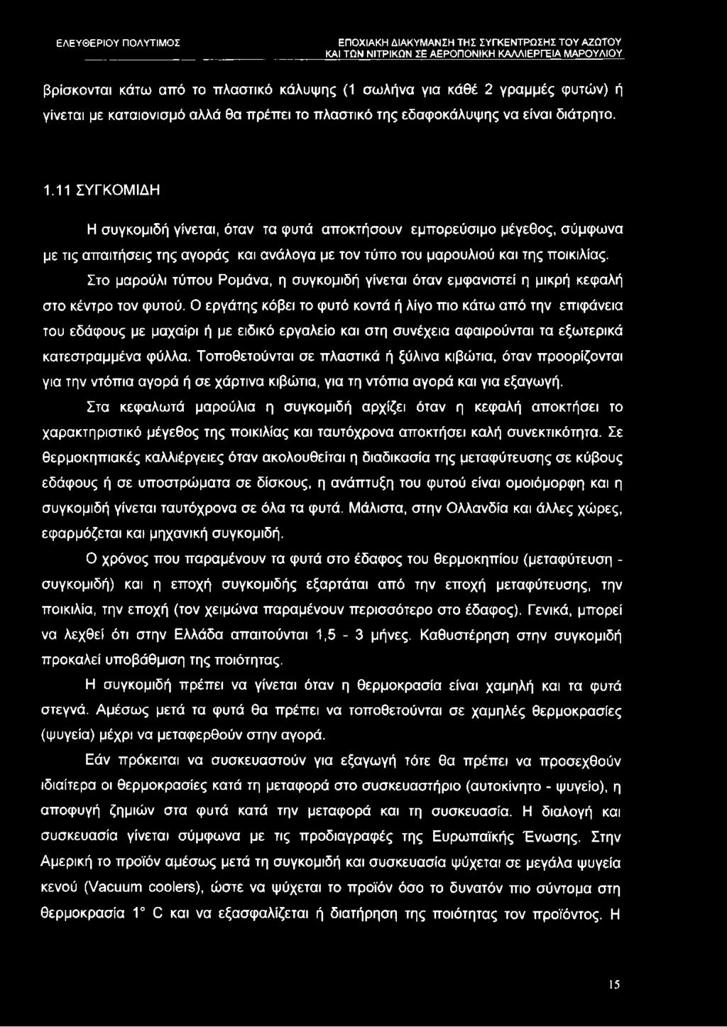 Στο μαρούλι τύπου Ρομάνα, η συγκομιδή γίνεται όταν εμφανιστεί η μικρή κεφαλή στο κέντρο τον φυτού.