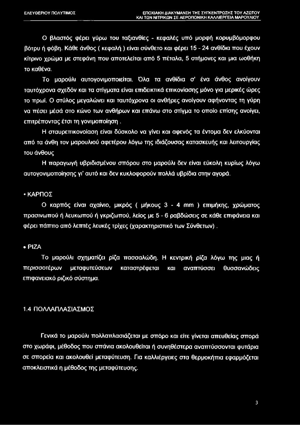 Όλα τα ανθίδια σ' ένα άνθος ανοίγουν ταυτόχρονα σχεδόν και τα στίγματα είναι επιδεικτικά επικονίασης μόνο για μερικές ώρες το πρωί.