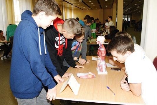 Menšia časť našej populácie operencov tohto druhu operencov u nás aj prezimuje, väčšia časť je sťahovavá odlietava najčastejšie do Stredomoria a severnej Afriky, pozorované boli však i zimoviská v