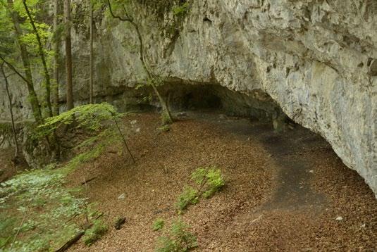 Pomenovaný je na počesť známeho turčianskeho turistického pracovníka, značkára a autora turistických sprievodcov.
