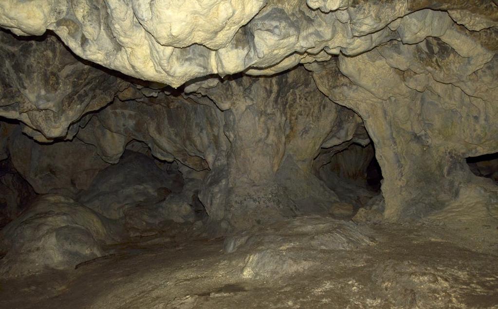januára 2010 na základe Vyhlášky Krajského úradu životného prostredia v Žiline č. 4/2009 z 15.