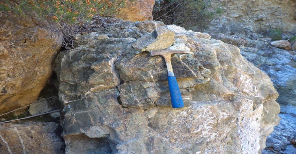 Αποτελείται από σχετικά υγιές πέτρωμα (ελαφρώς εξαλλοιωμένο /σερπεντινιωμένο) περιδοτιτικού τύπου με φλέβες μαγνησίτη-ανθρακικών ορυκτών και πιθανή παρουσία χαλαζία σε πλέγματα φλεβών τύπου