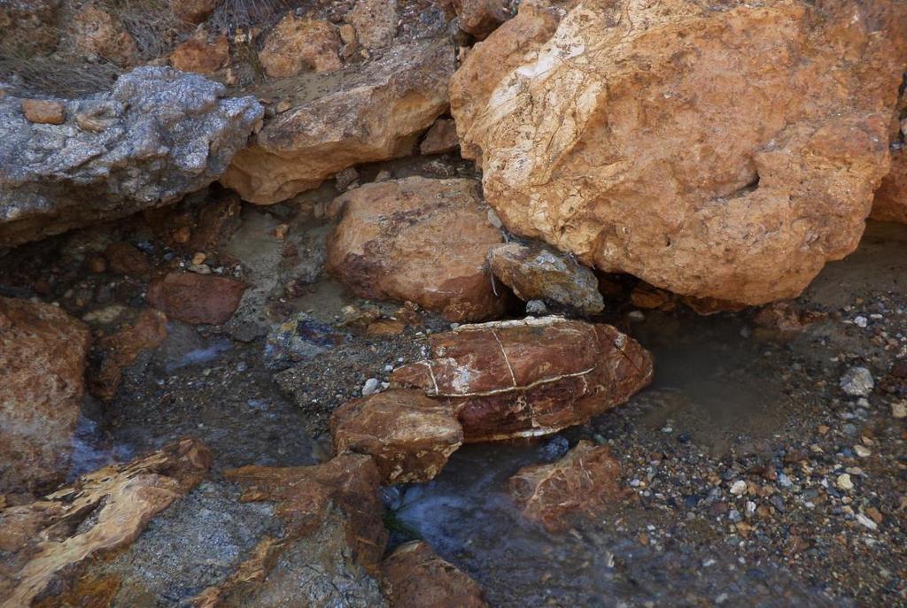 Εικόνα 13: Απεικόνιση της κοίτης που έγινε η δειγματοληψία.