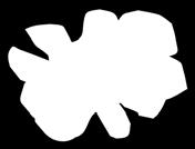 RISC