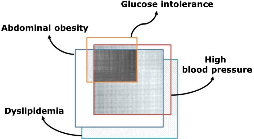 Debelost ni niti nujen niti zadosten pogoj za razvoj presnovnega sindroma, saj so lahko debeli ljudje občutljivi na inzulin, po drugi strani pa lahko ljudje z normalno telesno maso razvijejo