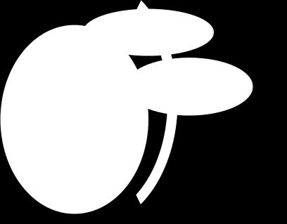 o.o. 5 Špica International d.o.o. 6 UKC Ljubljana 7 UL BF 8 UL FF 9 UL FFA 10 UL ZF 11 Univezitetna psihiatrična klinika Ljubljana Potencialni partnerji 1 C3M d.o.o. 2 Cinkarna Celje d.o.o. 3 Dom ob Savinji Celje 4 RLS d.