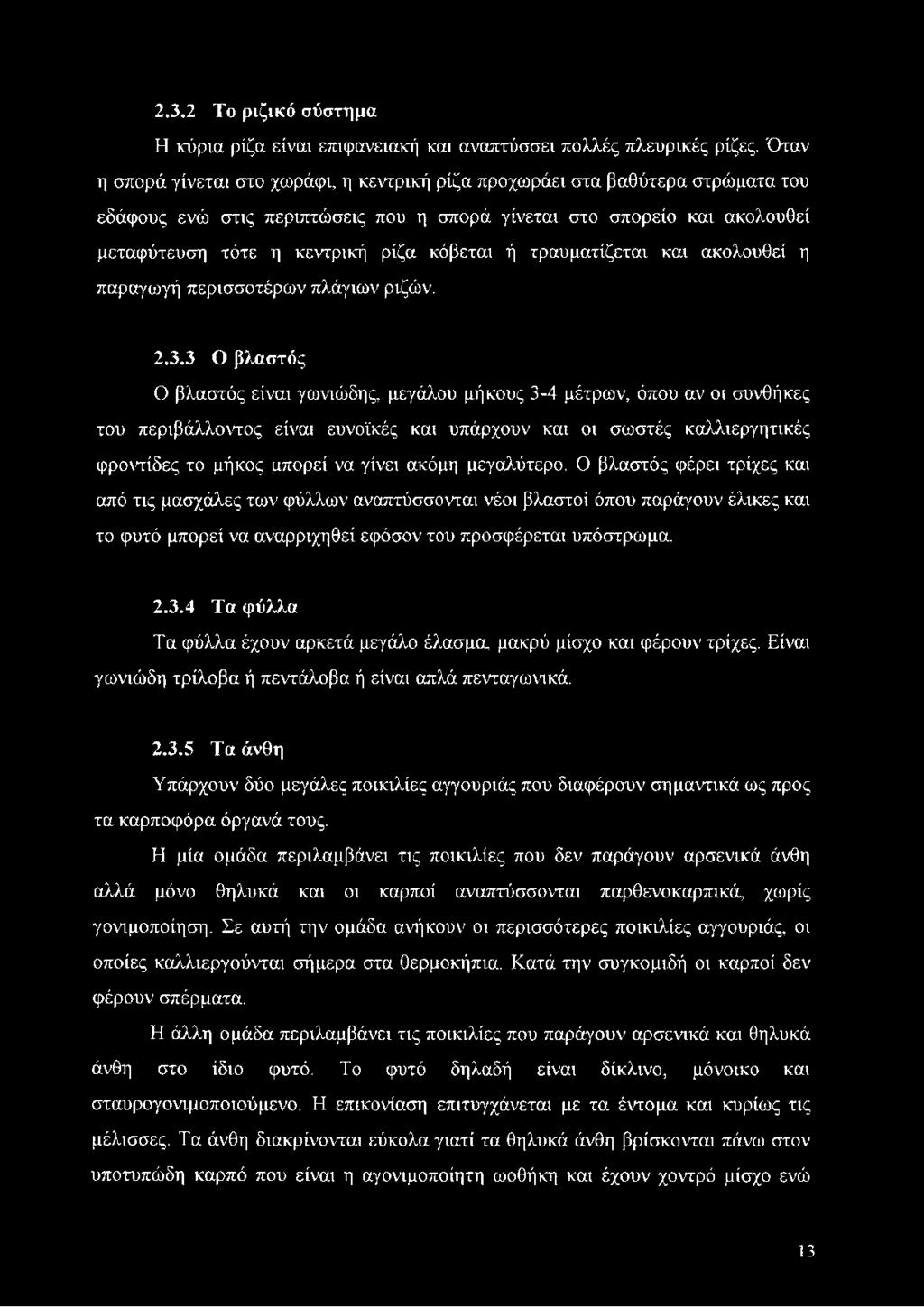 κόβεται ή τραυματίζεται και ακολουθεί η παραγωγή περισσοτέρων πλάγιων ριζών. 2.3.