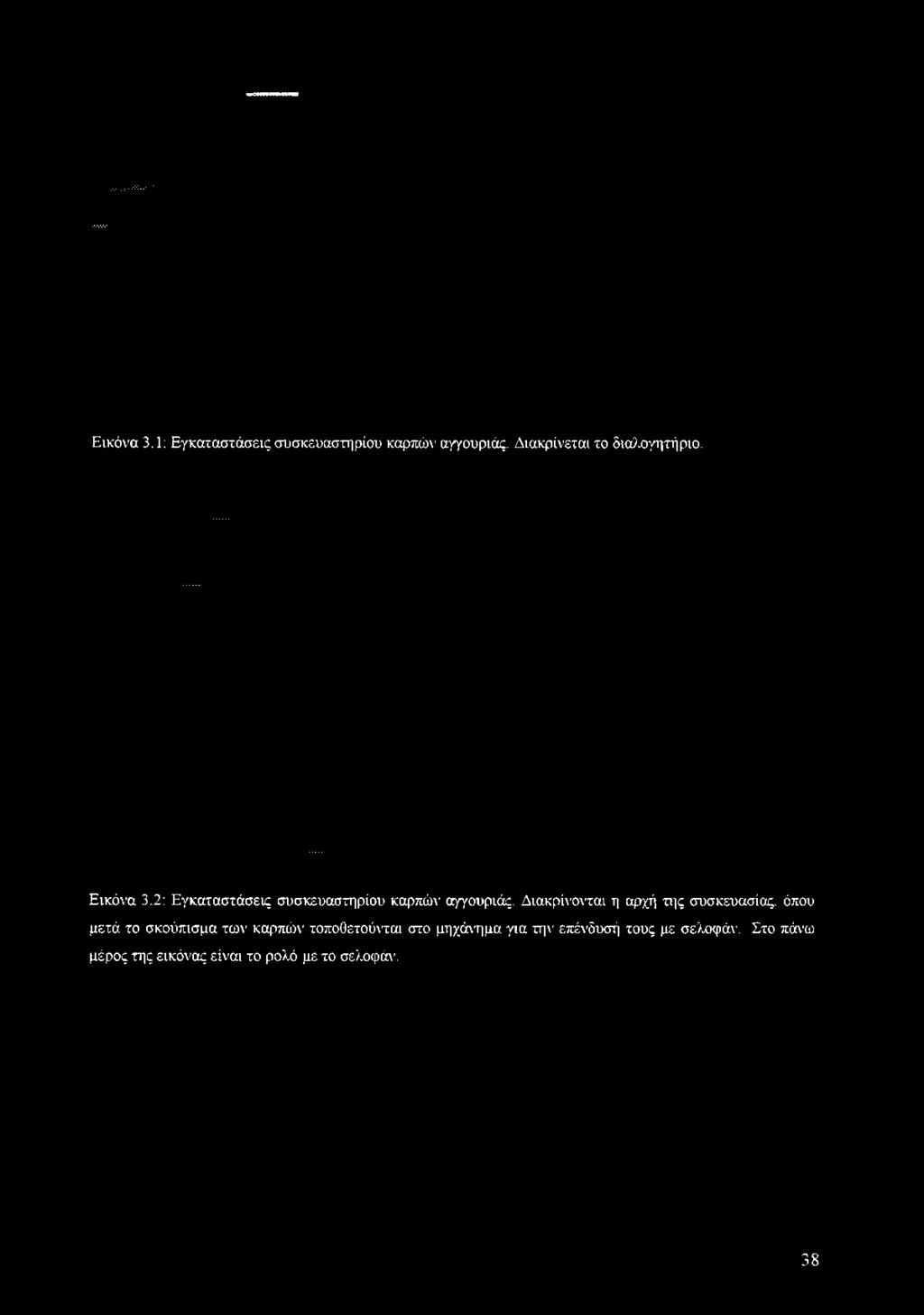 αγγουριάς. Διακρίνεται το διαλογητήριο.